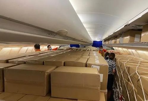 東航“客改貨”包機首航武漢-洛杉磯，國際包機服務邁入全鏈條整合新階段